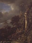 Oak Tree and Dense Shrubbery at the Edge of a pond Jacob van Ruisdael